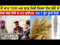       100       wheat production record in punjab
