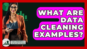 What Are Data Cleaning Examples? - The Friendly Statistician