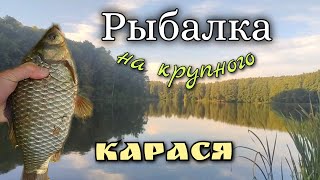Вот это рыбалка!Ловля крупного карася)Везёт не всем! #славянскаяua #рыбалка #рыбалкавидео #fishing