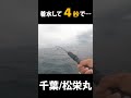 鳥山シューティング!!