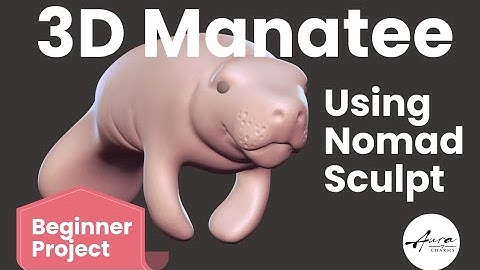 Nomad Sculpt Beginner Tutorial: Create a 3D Manatee Step by Step 