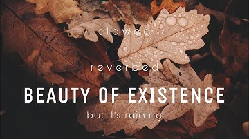 Beauty of Existence | Slow + Reverbed + Raining | Nasheed for Relaxing, sleeping, studying, meditate