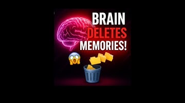 Your brain delete memories every night🤯(Part2) #shortsfeed #shorts #facts