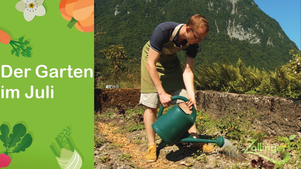Der Garten im Juli aussäen, ernten, giessen und düngen YouTube