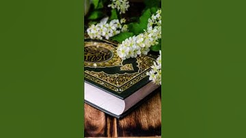 #اكسبلور #المصحف #القران بسم الله الرحمن الرحيم سورة الفيل №🕋🕋