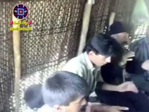 تنبور تمیره لکی یارسان اهل حق قوم لک کوهدشت لکستان لرستان کرمانشاه