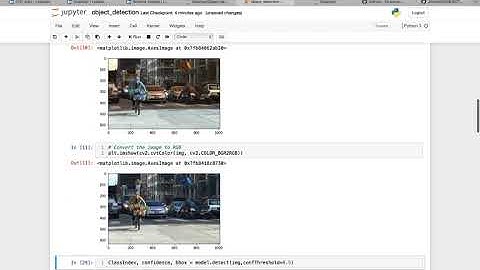 Object detection video