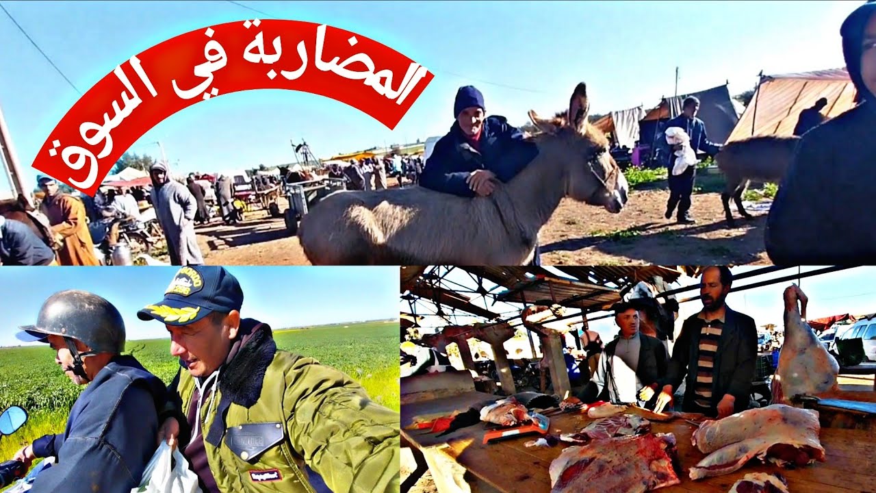 تعالة تشوف  الخيطفي نيض في السوق 22/2/2026💥