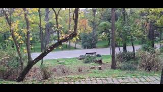 картинка: ХД (1842) ЕХО ОТ СЕМИНАРА І пастор Митко ДИМИТРОВ І МДМ