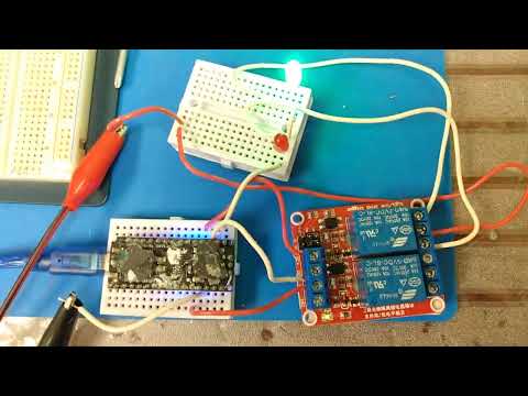 Using a single relay to toggle both LEDs and output states using Arduino. #engineering #arduino