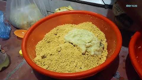 Cách Làm Mồi Câu Cá Chép Sông Tự Nhiên Hiệu Quả Cao Bình Vlog