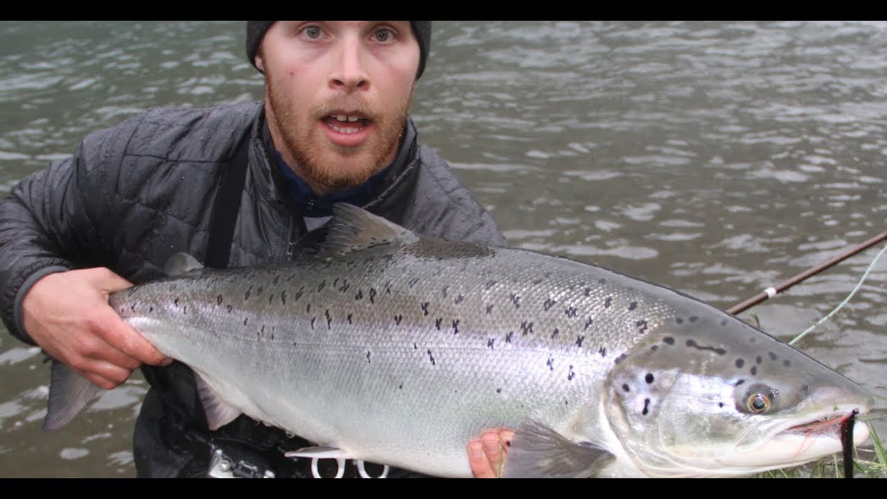 Laksefiske / Salmonfishing Naustdal 2012 Neteland  production HD