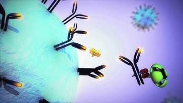 Simoa Technology for the Study of Neurology