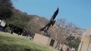 Welcome to UNT