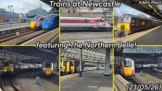 Trains at Newcastle featuring The Northern Belle (23/05/26)