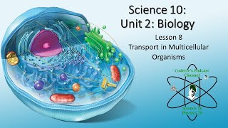 Science 10 Unit 2 Transport in Multicellular Organisms