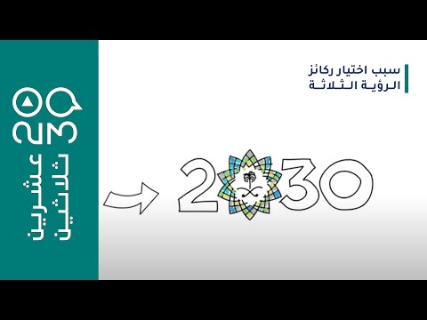 عشرين ثلاثين سبب اختيار ركائز الرؤية الثلاثة وشرحها