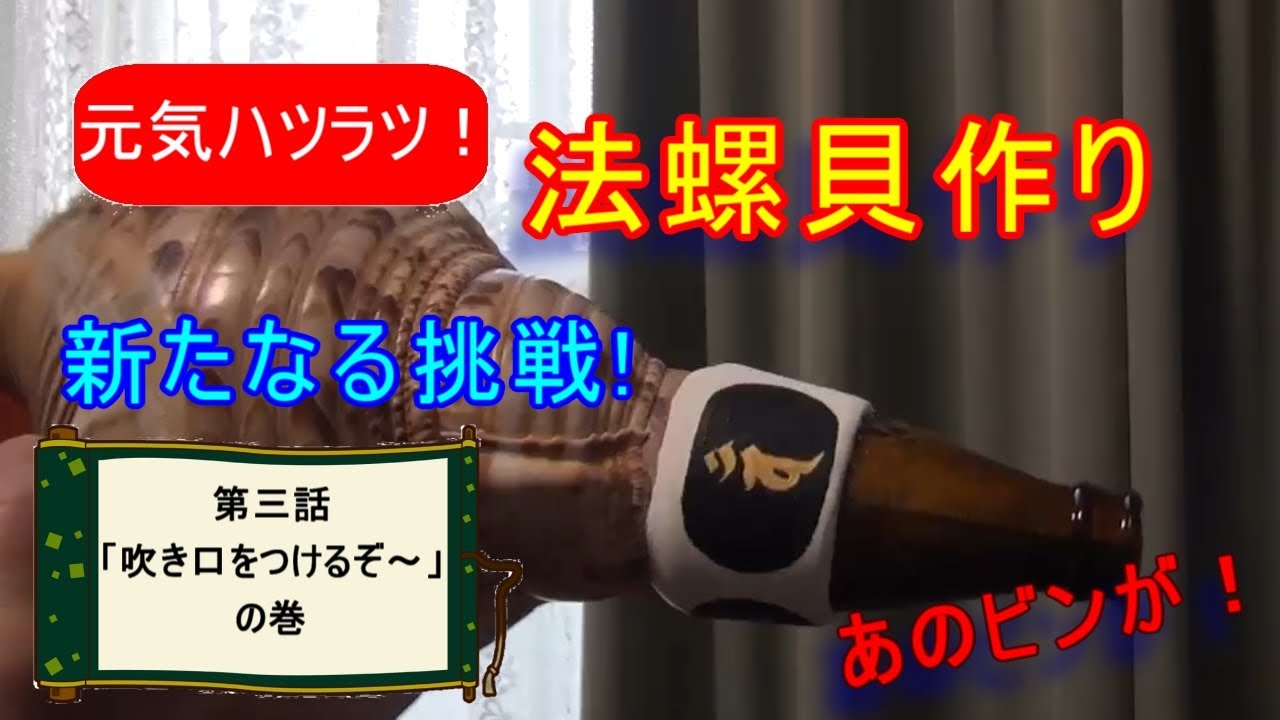 付着物つき 未洗い 法螺貝を磨いていきます Youtube