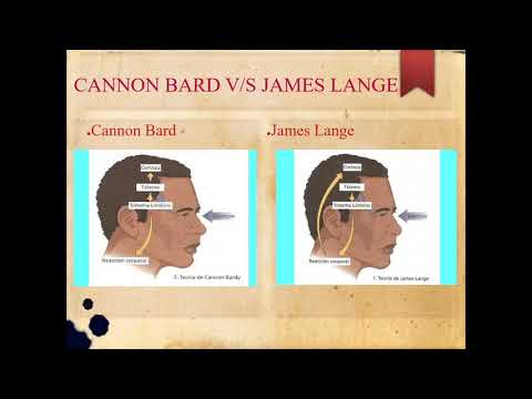 Video: ¿En qué se diferencian la teoría de la emoción de James Lange y la teoría de Cannon Bard?