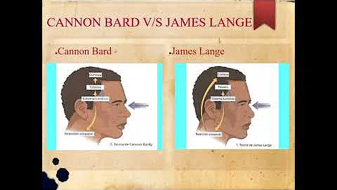 emociones y definicin psicolgica. Cannon Bard e Iz...