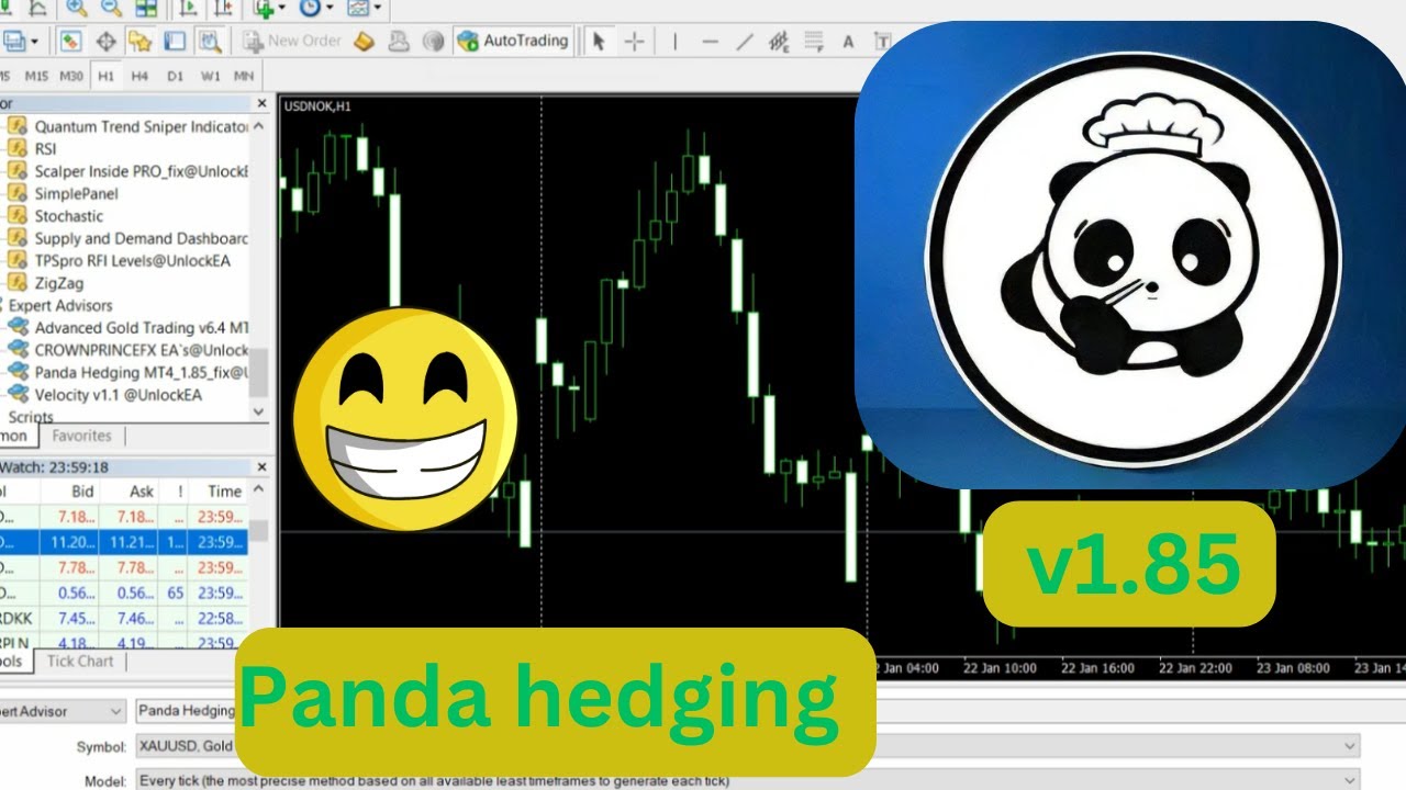Panda hedging MT4 EA | v1.85