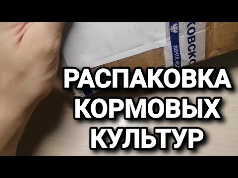 Распаковка новых кормовых