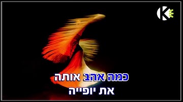 Thumbnail of כמה אהבה - מאיר בנאי - שרים קריוקי