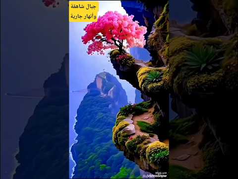 لوحات من صنع الرحمن رحلة بين الجبال والأنهار تنطق الطبيعة بعظمة الخالق تابعنا بلأشتراك
