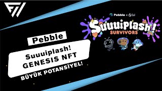 Pebble Üzeri̇nde İlk Proje Suuuiplash Genesis Nft Tüm Detaylar