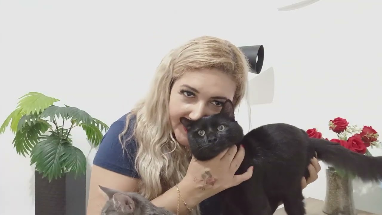 VIRGEM ♍ A Grande virada na sua vida, Trabalhando com seu Dom sua profissão dos sonhos, amor💞