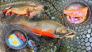 Exploring REMOTE Mountain Lakes For GIANT Trout!! (Catch, Cook, Camp)