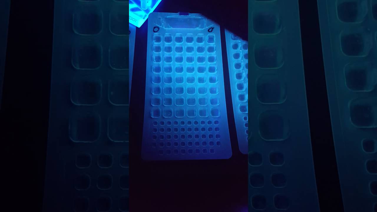 10/19/2016 Colilert-18 Results