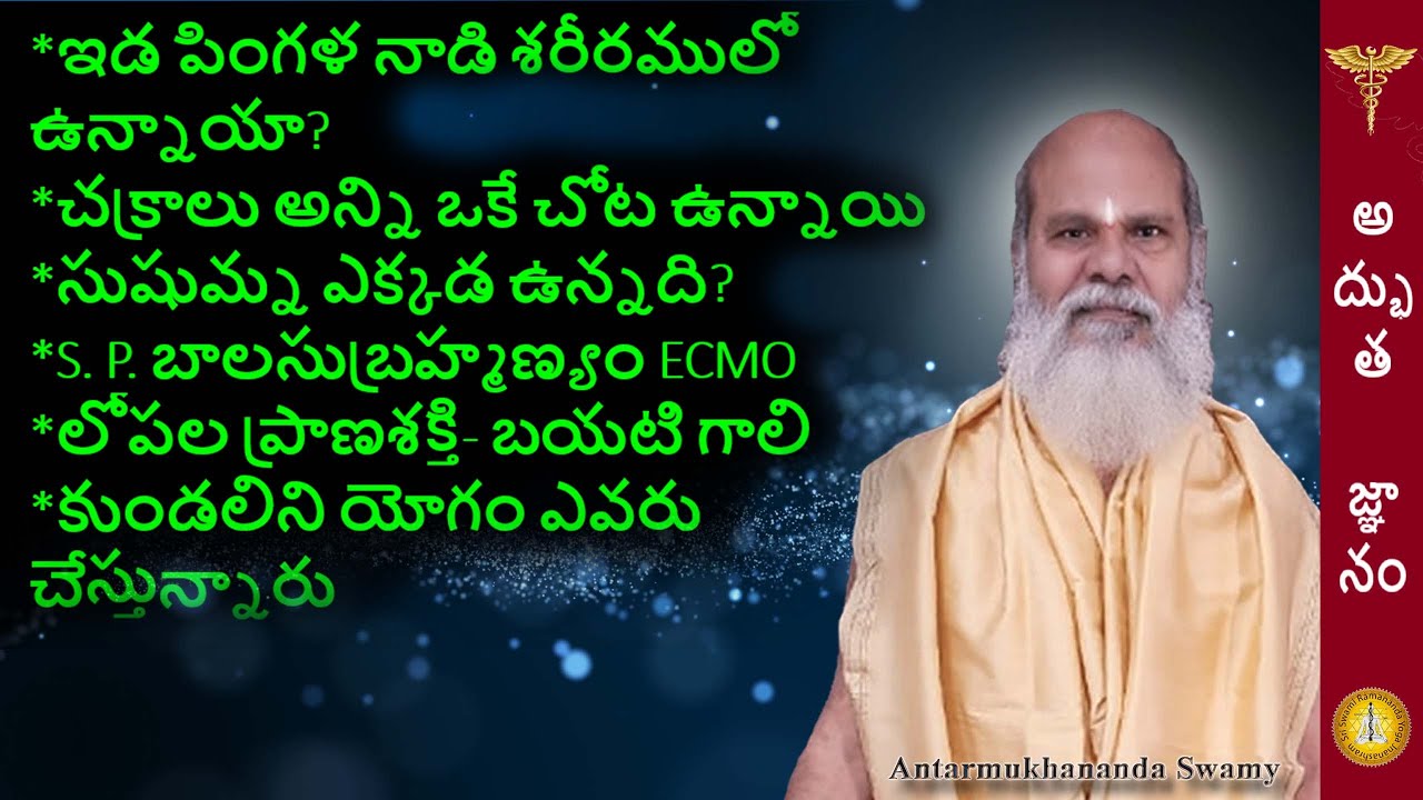 పరి ప్రశ్న- పింగళ నాడి శరీరములో ఉన్నాయా? చక్రాలు ఒకే చోట ఉన్నాయి  -ప్రాణ శక్తి-Swamy Antarmukhananda