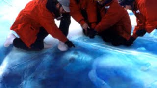 Unsettling Things Scientists Found Frozen In Ice For Centuries