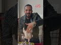 كيلو كبده وقوانص بجنيه عروض وزير الغلابة قلبت الدنيا mp3