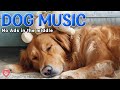 20 Hours of Calming Dog Music🦮💖Music for Dog Sleep and Relaxation🎵🦮Relieve Anxiety at Night, Dog TV