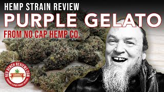 No Cap Hemp Co. | Purple Gelato Strain Review | 20% CBD