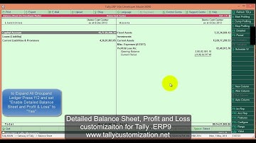 Detailed Balance Sheet and Profit & Loss