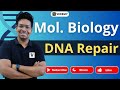 DNA Repair | Molecular Biology | By Virendra Singh | CSIR | GATE | DBT | ICMR | CUET | IIT JAM |