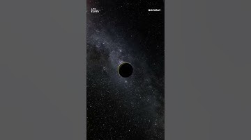 Proxima Centauri - Humanity