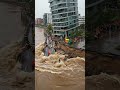 🌊Suddenly Large riverside building collapses due to flood! 😱🏚️ #RiverbankCollapse