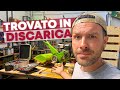 Un nuovo MOTOCOLTIVATORE molto PARTICOLARE