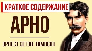 Арно. Краткое содержание