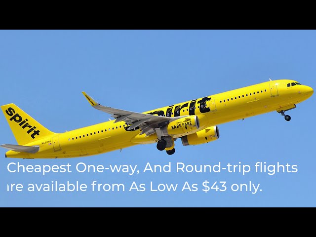 One way spirit airlines Clearance