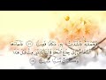 عبدالباسط عبدالصمد تلاوة مميزة ورائعة فحملته فانتبذت به مكانا قصيا