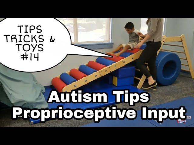 proprioceptive input toys