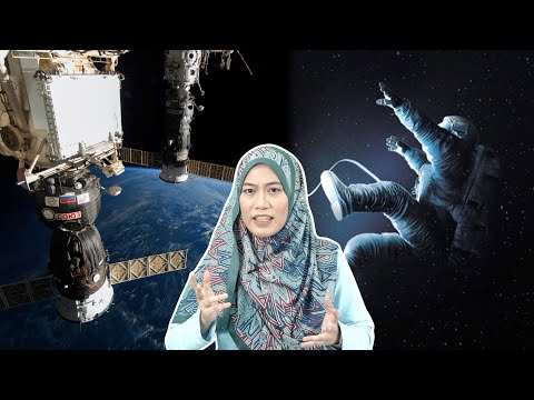 Video: Adakah kerajaan haiwan dibatalkan?