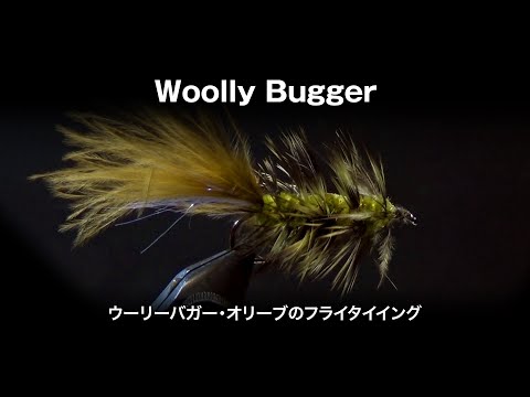 Hermit555 - YouTube