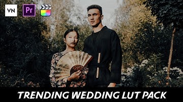 Moody Wedding Potrait Lut Pack | Free Luts Pack | Color grading with lut on mobile (VN Video Editor)