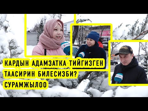 Video: Кардын аз жаашы кургакчылыкка кантип салым кошо алат?